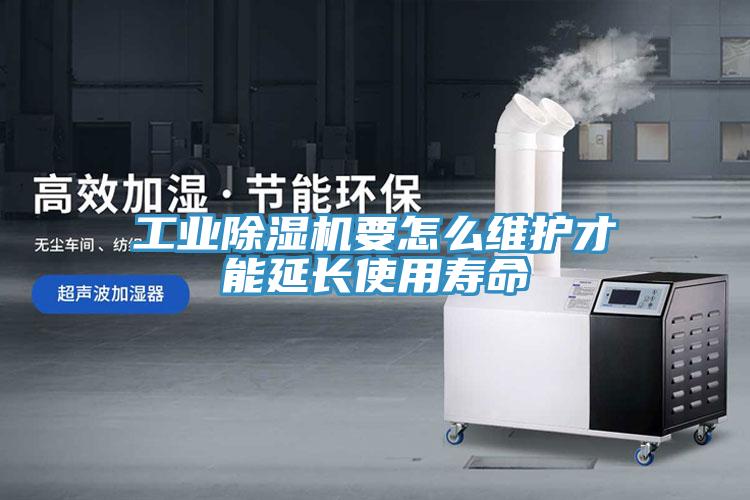 工业猫咪成人官网要怎么维护才能延长使用寿命