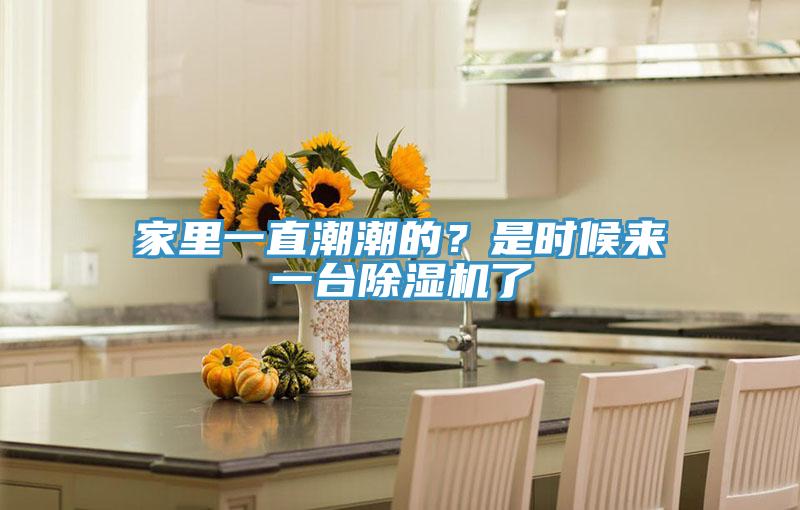 家里一直潮潮的？是时候来一台猫咪成人官网了