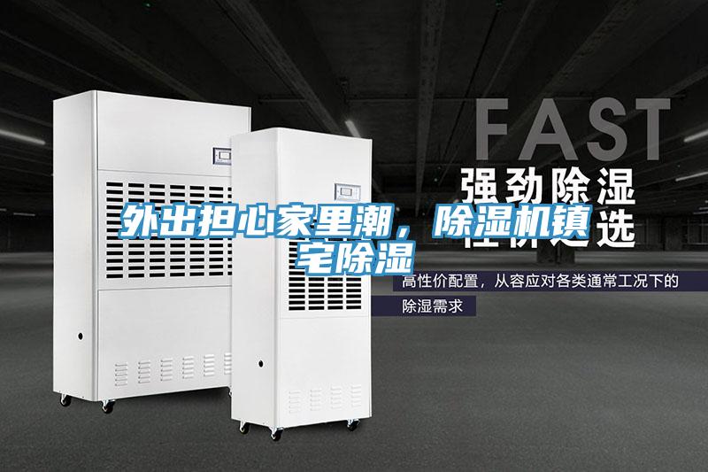 外出担心家里潮，猫咪成人官网镇宅除湿