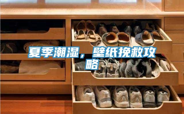 夏季潮湿，壁纸挽救攻略