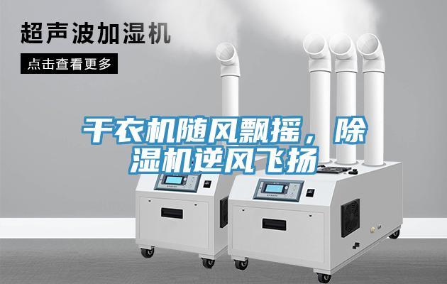 干衣机随风飘摇，猫咪成人官网逆风飞扬