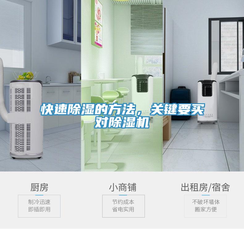 快速除湿的方法，关键要买对猫咪成人官网
