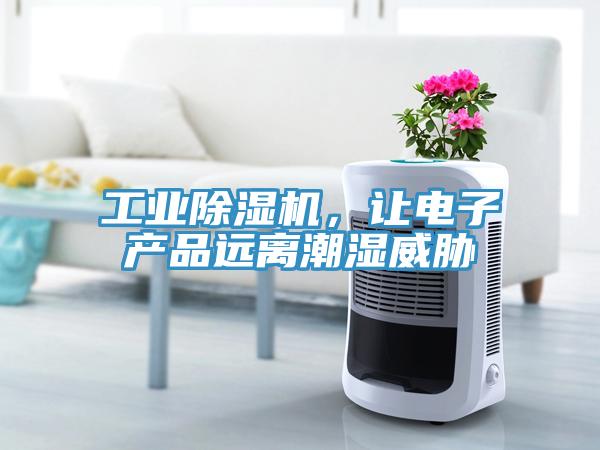 工业猫咪成人官网，让电子产品远离潮湿威胁