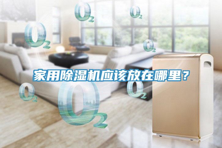 家用猫咪成人官网应该放在哪里？