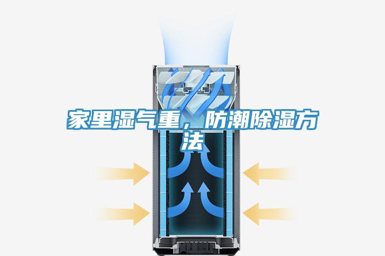 家里湿气重，防潮除湿方法