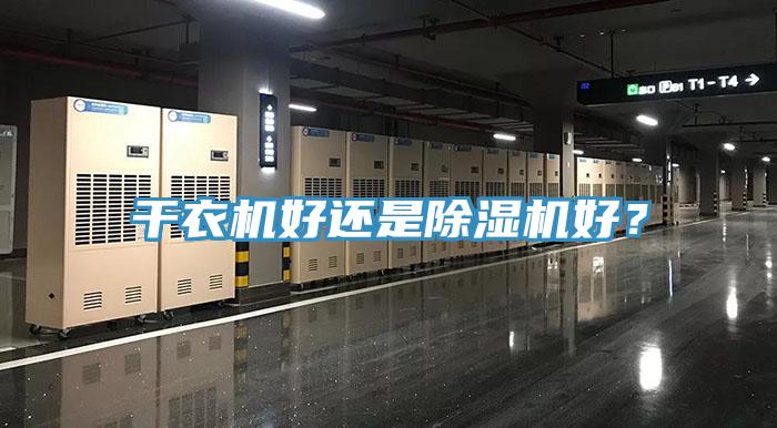 干衣机好还是猫咪成人官网好？
