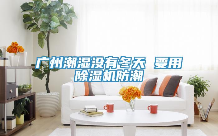 广州潮湿没有冬天 要用猫咪成人官网防潮