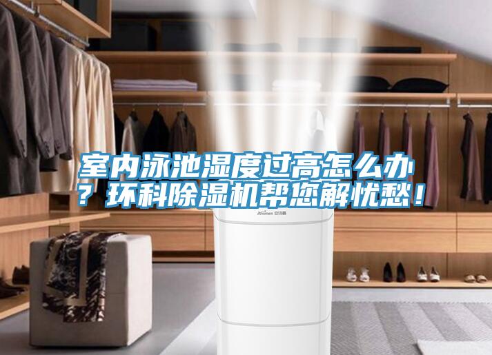 室内泳池湿度过高怎么办？环科猫咪成人官网帮您解忧愁！