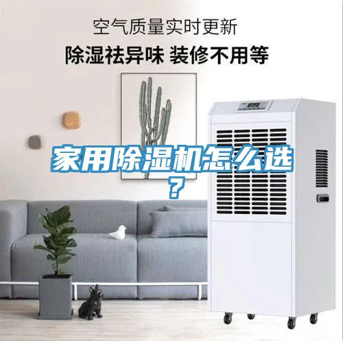 家用猫咪成人官网怎么选？