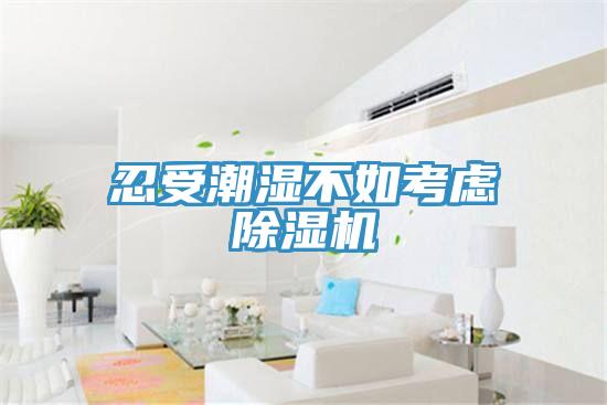 忍受潮湿不如考虑猫咪成人官网
