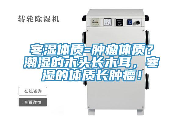 寒湿体质=肿瘤体质？潮湿的木头长木耳，寒湿的体质长肿瘤！