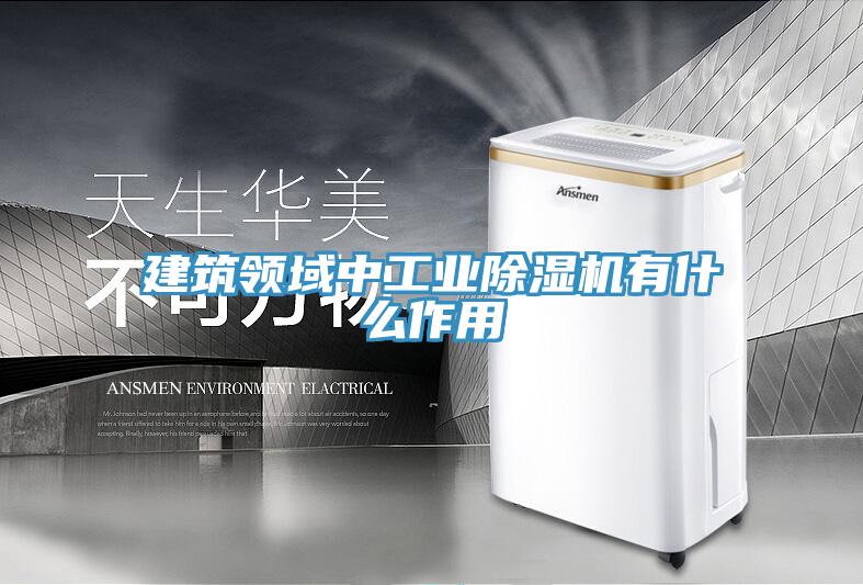 建筑领域中工业猫咪成人官网有什么作用