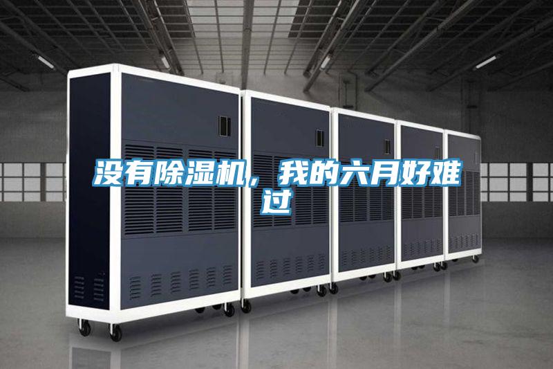 没有猫咪成人官网，我的六月好难过