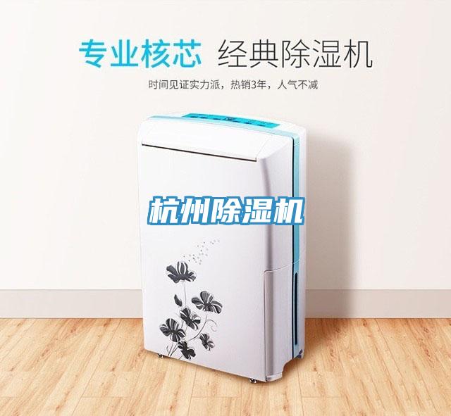 杭州猫咪成人官网