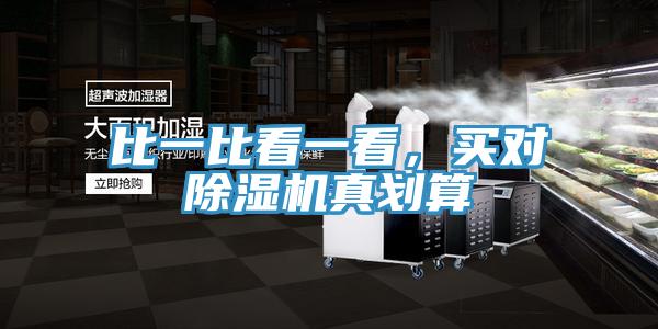 比一比看一看，买对猫咪成人官网真划算