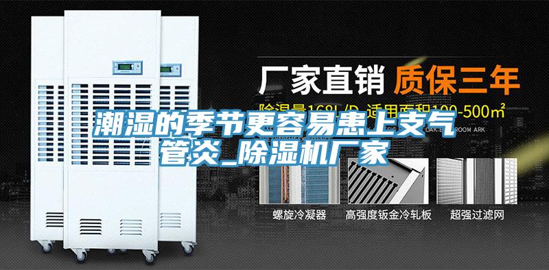潮湿的季节更容易患上支气管炎_猫咪成人官网厂家