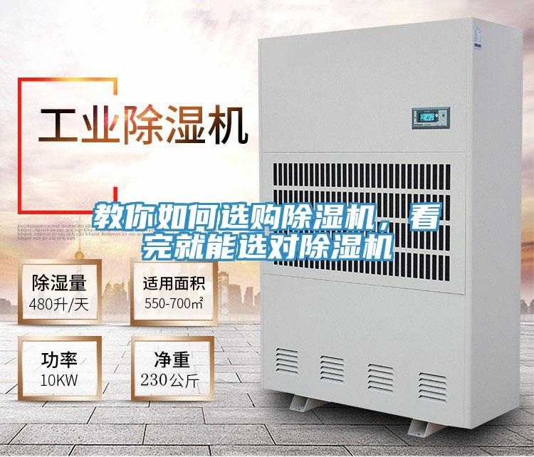 教你如何选购猫咪成人官网，看完就能选对猫咪成人官网