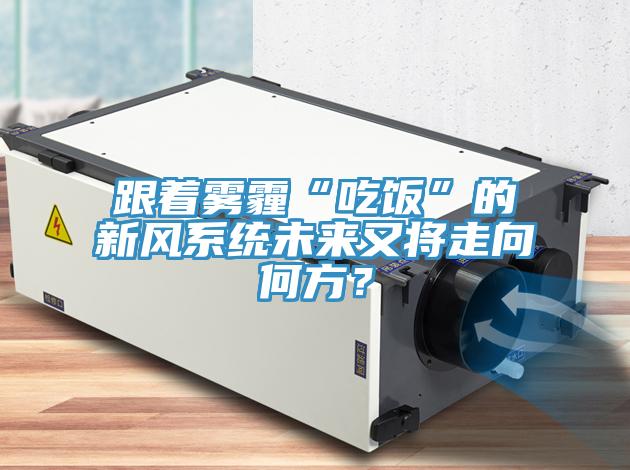 跟着雾霾“吃饭”的新风系统未来又将走向何方？