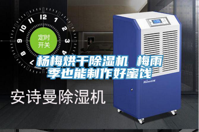 杨梅烘干猫咪成人官网 梅雨季也能制作好蜜饯