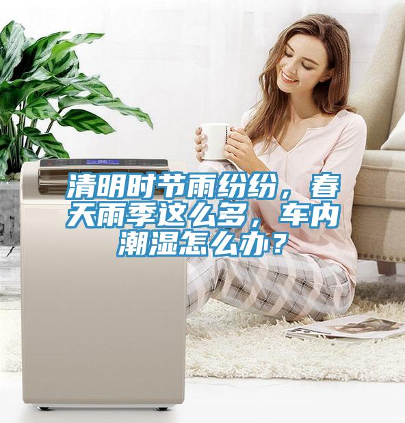 清明时节雨纷纷，春天雨季这么多，车内潮湿怎么办？