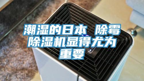 潮湿的日本 除霉猫咪成人官网显得尤为重要