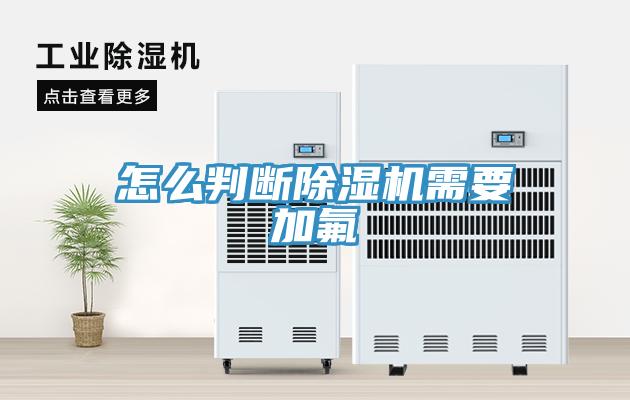 怎么判断猫咪成人官网需要加氟