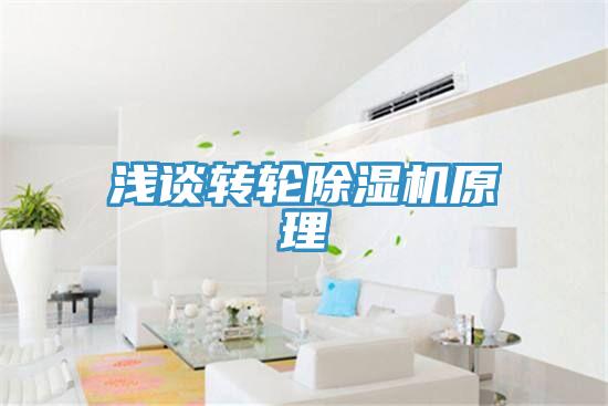 浅谈转轮猫咪成人官网原理