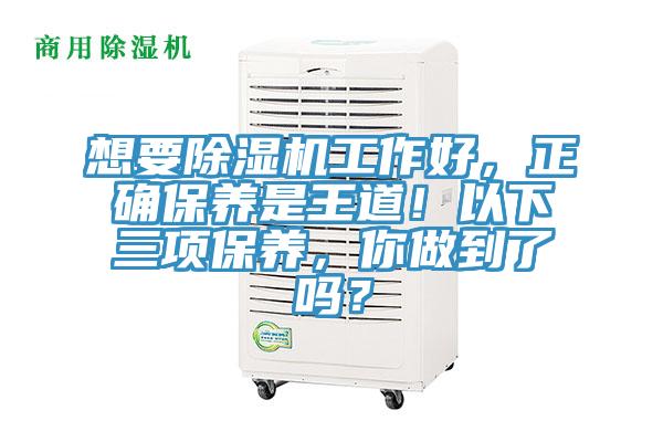 想要猫咪成人官网工作好，正确保养是王道！以下三项保养，你做到了吗？