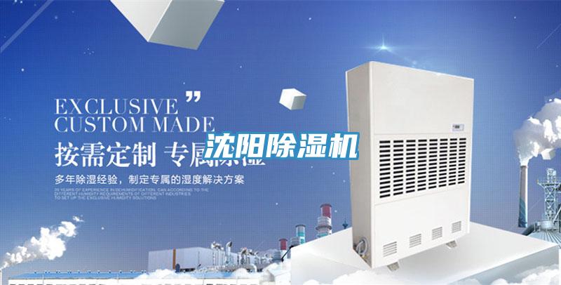 沈阳猫咪成人官网