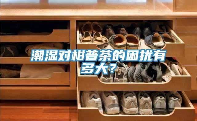 潮湿对柑普茶的困扰有多大？