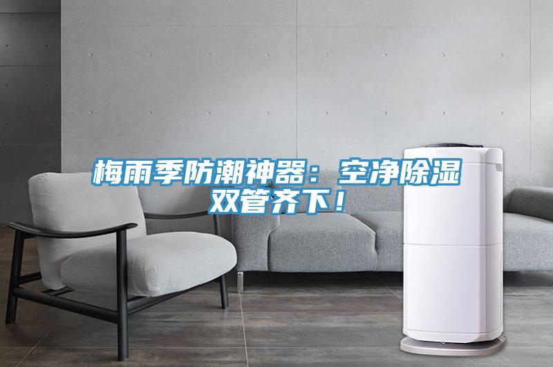 梅雨季防潮神器：空净除湿双管齐下！