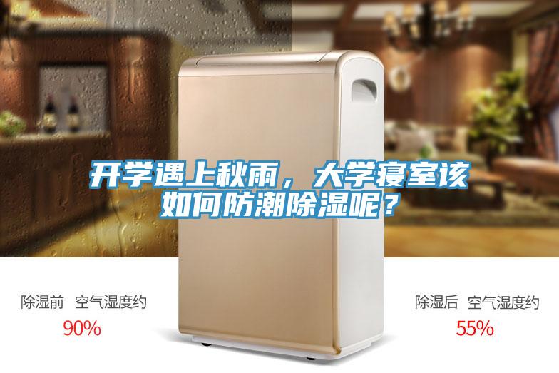 开学遇上秋雨，大学寝室该如何防潮除湿呢？
