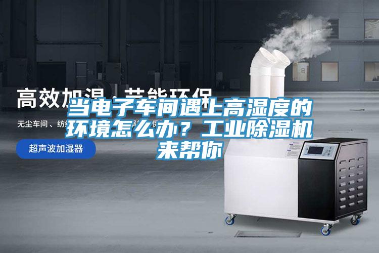 当电子车间遇上高湿度的环境怎么办？工业猫咪成人官网来帮你