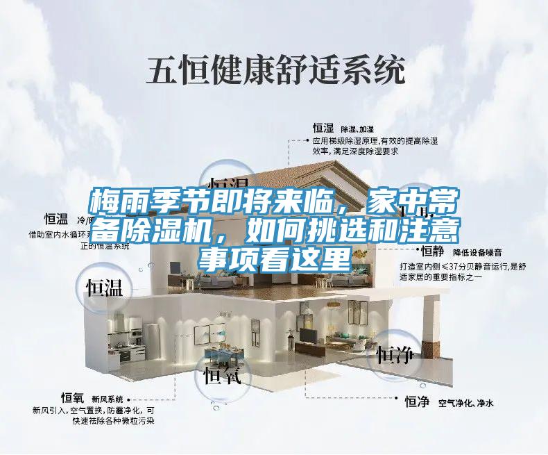 梅雨季节即将来临，家中常备猫咪成人官网，如何挑选和注意事项看这里
