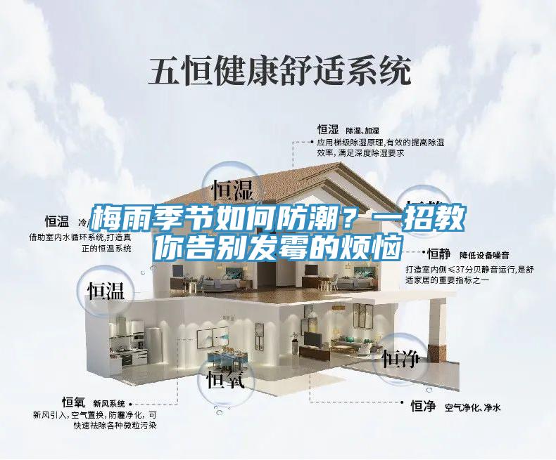 梅雨季节如何防潮？一招教你告别发霉的烦恼