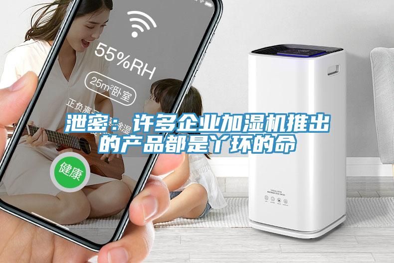 泄密：许多企业加湿机推出的产品都是丫环的命