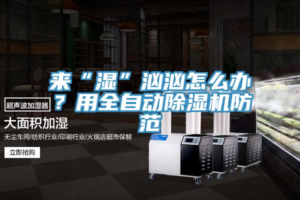 来“湿”汹汹怎么办？用全自动猫咪成人官网防范