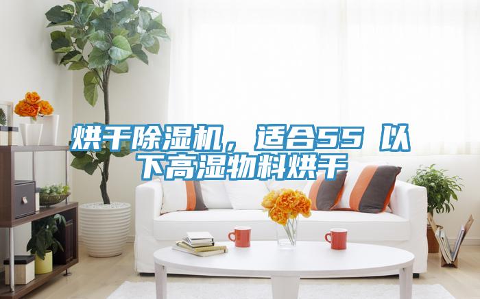 烘干猫咪成人官网，适合55℃以下高湿物料烘干