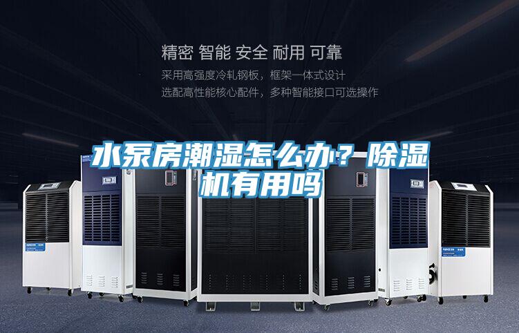水泵房潮湿怎么办？猫咪成人官网有用吗