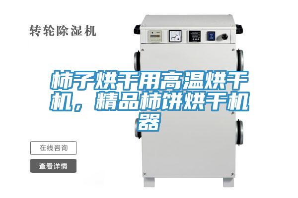 柿子烘干用高温烘干机，精品柿饼烘干机器