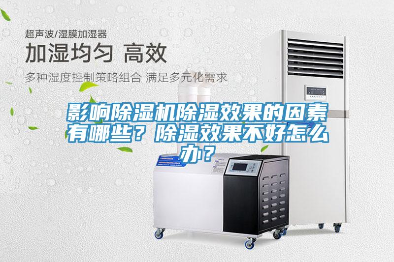 影响猫咪成人官网除湿效果的因素有哪些？除湿效果不好怎么办？