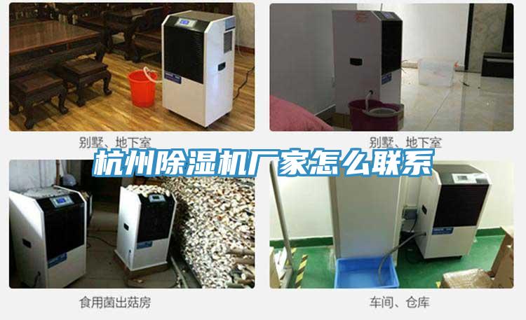 杭州猫咪成人官网厂家怎么联系