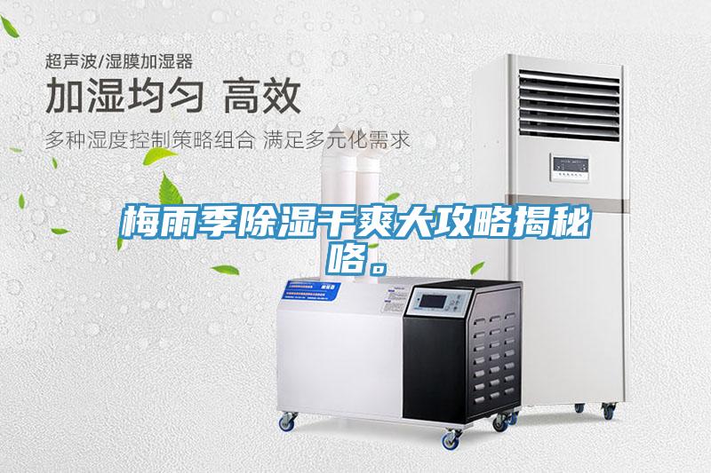 梅雨季除湿干爽大攻略揭秘咯。