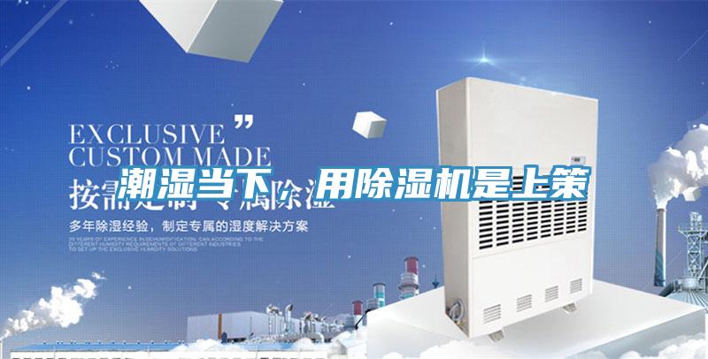 潮湿当下，用猫咪成人官网是上策