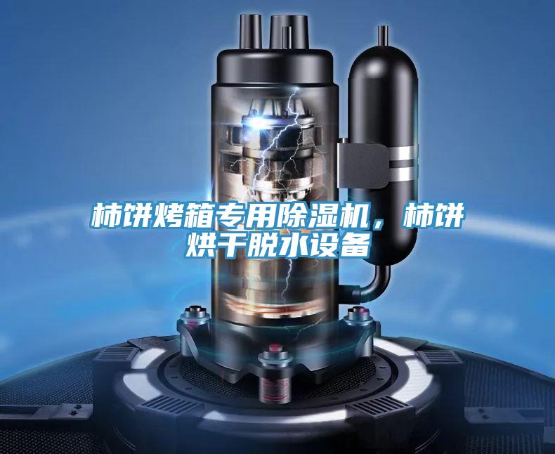 柿饼烤箱专用猫咪成人官网，柿饼烘干脱水设备