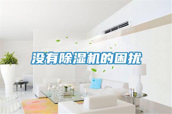 没有猫咪成人官网的困扰
