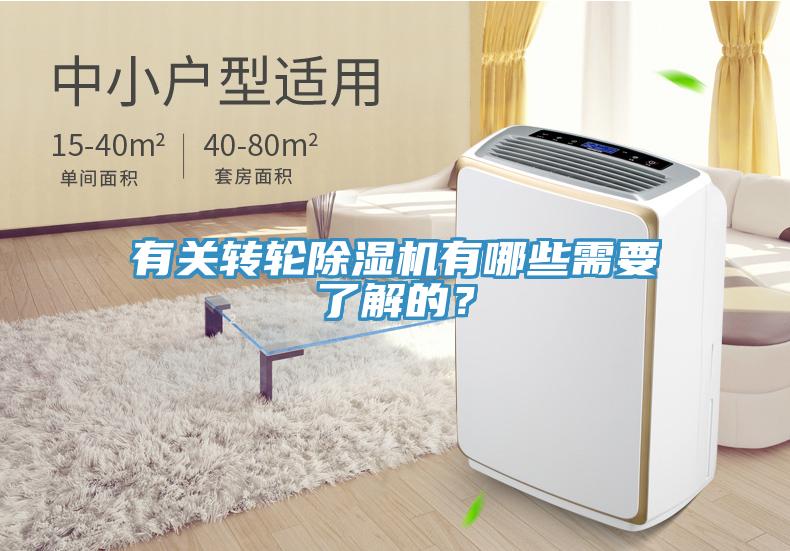 有关转轮猫咪成人官网有哪些需要了解的？