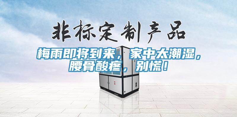 梅雨即将到来，家中太潮湿，腰骨酸疼，别慌！