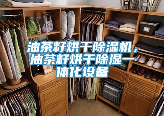 油茶籽烘干猫咪成人官网，油茶籽烘干除湿一体化设备