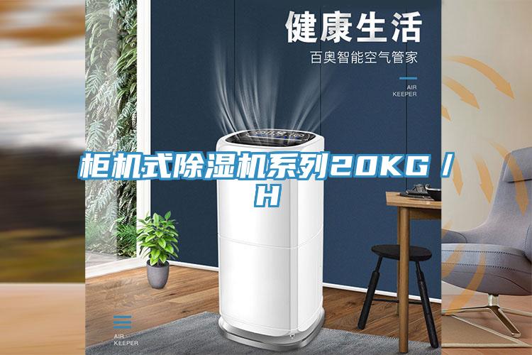 柜机式猫咪成人官网系列20KG／H
